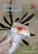 Audiobook Birds of the Serengeti: And Ngorongoro Conservation Area author Adam Scott Kennedy