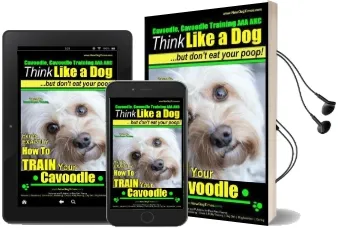Cavoodle, Cavoodle Training aaa akc: - Think Like a dog but Don'T eat Your Poop! - Cavoodle Expert dog Training -: Here'S Exactly how to Train Your Cavoodle Audiobook download free by Mr Paul Allen Pearce