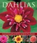 Audiobook Dahlias author Ted Collins
