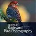 Audiobook Secrets of Backyard Bird Photography author J. Chris Hansen