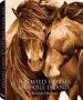 Audiobook The Wild Horses of Sable Island author Roberto Dutesco