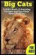 Audiobook Big Cats! a Kid'S Book of Amazing Pictures and fun Facts About big Cats: Lions Tigers and Leopards author John Yost