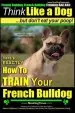 Audiobook French Bulldog, French Bulldog Training aaa akc: Think Like a Dog, but Don'T eat Your Poop! French Bulldog Breed Expert Training: Here'S Exactly how to Train Your French Bulldog author Mr Paul Allen Pearce