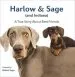 Audiobook Harlow & Sage (And Indiana): A True Story About Best Friends author Brittni Vega