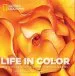 Audiobook Life in Color: National Geographic Photographs author Annie Griffiths