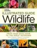 Audiobook National Geographic Illustrated Guide to Wildlife: From Your Back Door to the Great Outdoors author National Geographic