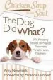Audiobook Chicken Soup for the Soul: The dog did What?: 101 Amazing Stories of Magical Moments, Miracles And... Mayhem author Amy Newmark