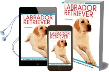 Labrador Retriever: A Complete Guide to Raising, Training and Caring for Your Labrador Audiobook download free by Becky Collins