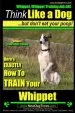 Audiobook Whippet, Whippet Training aaa akc: Think Like a Dog, but Don'T eat Your Poop! Whippet Breed Expert Training: Here'S Exactly how to Train Your Whippet author Mr Paul Allen Pearce