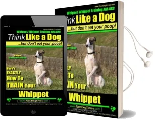 Whippet, Whippet Training aaa akc: Think Like a Dog, but Don'T eat Your Poop! Whippet Breed Expert Training: Here'S Exactly how to Train Your Whippet Audiobook download free by Mr Paul Allen Pearce