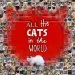 Audiobook All the Cats in the World author Jesse Hunter
