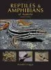 Audiobook Reptiles and Amphibians of Australia author Harold G. Cogger