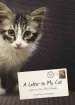 Audiobook A Letter to my Cat, a author Lisa Erspamer