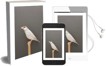 An Incomplete Dictionary of Show Birds Audiobook download free by Luke Stephenson