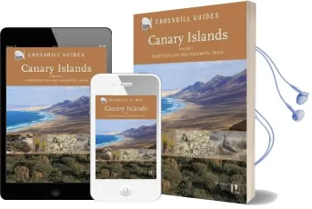 Canary Islands: Vol. 1: Fuerteventura and Lanzarote - Spain Audiobook download free by Dirk Hilbers