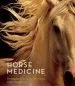 Audiobook Horse Medicine author Tony Stromberg