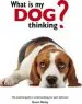 Audiobook What is my dog Thinking?: The Essential Guide to Understanding Your pet author Gwen Bailey