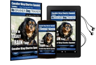 Cavalier King Charles Spaniel Training dog Training With the no Brainer dog Trainer we Make it That Easy!: How to Easily Train Your Cavalier King Charles Spaniel Audiobook download free by Mr Paul Allen Pearce