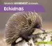Audiobook Echidnas author Marcia Zappa