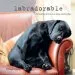 Audiobook Labradorable: Labradors at Home, at Large, and at Play author Villager Jim
