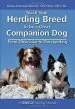 Audiobook Teach Your Herding Breed to be a Great Companion Dog, From Obsessive to Outstanding author Dawn Antoniak Mitchell