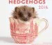 Audiobook Hedgehogs 2016 Mini: 16-Month Calendar September 2015 Through December 2016 author Editors Of Rock Point