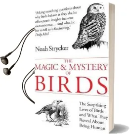 The Magic and Mystery of Birds: The Surprising Lives of Birds and What They Reveal About Being Human Audiobook download free by Noah Strycker