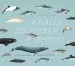 Audiobook Whales, Dolphins & Porpoises: A Natural History and Species Guide author Prof Annalisa Berta