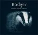 Audiobook Badger author Daniel Heath Justice