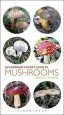 Audiobook Pocket Guide to Mushrooms author John C. Harris