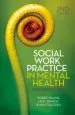 Audiobook Social Work Practice in Mental Health: An Introduction author Noel Renouf