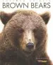 Audiobook Amazing Animals: Brown Bears author Kate Riggs