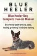 Audiobook Blue Heeler. Blue Heeler dog Complete Owners Manual. Blue Heeler Book for Care, Costs, Feeding, Grooming, Health and Training. author George Hoppendale