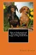 Audiobook How to Understand and Train Your Dachshund Puppy or dog Guide Book author Vince Stead