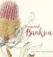 Audiobook Firewood Banksia: Illustrated Native Flora author Philippa Nikulinsky