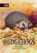 Audiobook Hedgehogs author Pat Morris