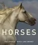 Audiobook Horses author Nicola Jane Swinney