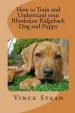 Audiobook How to Train and Understand Your Rhodesian Ridgeback dog and Puppy author Vince Stead
