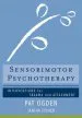 Audiobook Sensorimotor Psychotherapy: Interventions for Trauma and Attachment author Pat Ogden