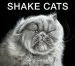 Audiobook Shake Cats author Carli Davidson