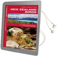New Zealand Birds: A Folding Pocket Guide to Familiar Species Audiobook download free by James Kavanagh