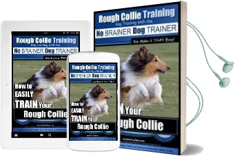 Rough Collie Training dog Training With the no Brainer dog Trainer we Make it That Easy!: How to Easily Train Your Rough Collie Audiobook download free by Mr Paul Allen Pearce
