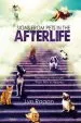 Audiobook Signs From Pets in the Afterlife: Identifying Messages From Pets in Heaven author Lyn Ragan