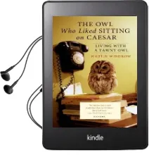 The owl who Liked Sitting on Caesar: Living With a Tawny owl Audiobook download free by Martin Windrow