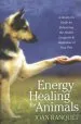 Audiobook Energy Healing for Animals: A Hands-On Guide for Enhancing the Health, Longevity, and Happiness of Your Pets author Joan Ranquet