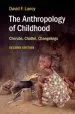 Audiobook The Anthropology of Childhood: Cherubs, Chattel, Changelings author David F. Lancy
