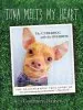Audiobook Tuna Melts my Heart: The Underdog With the Overbite author Courtney Dasher