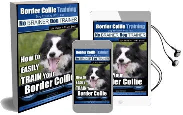 Border Collie Training dog Training With the no Brainer dog Trainer we Make it That Easy!: How to Easily Train Your Border Collie Audiobook download free by Mr Paul Allen Pearce