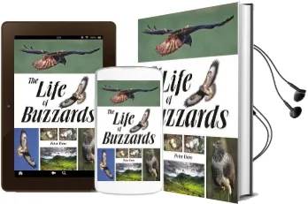 The Life of Buzzards Audiobook download free by Peter Dare
