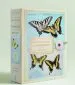 Audiobook Butterflies of Titian Ramsay Peale Notecards author American Museum Of Natural History